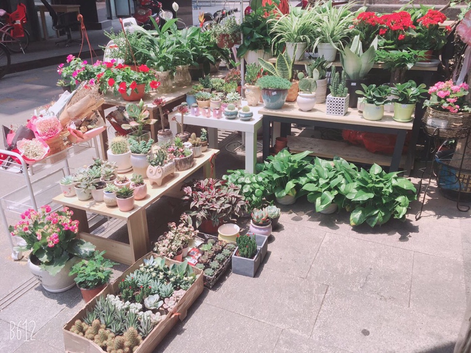 武侯区花店整体转让
