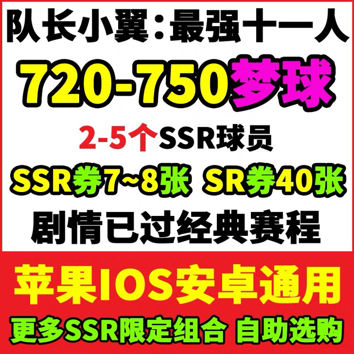 队长小翼最强十一人